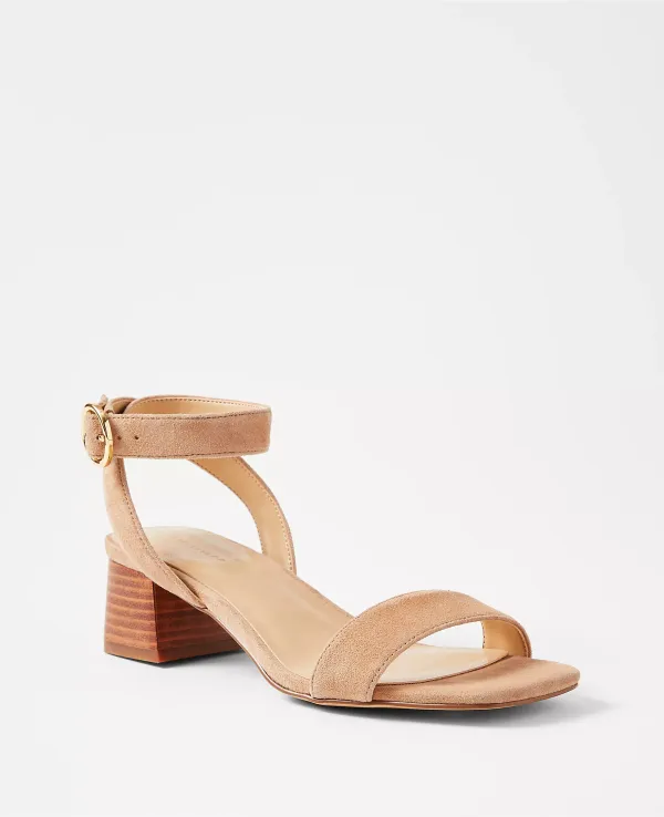 Suede Mid Block Heel Sandals
