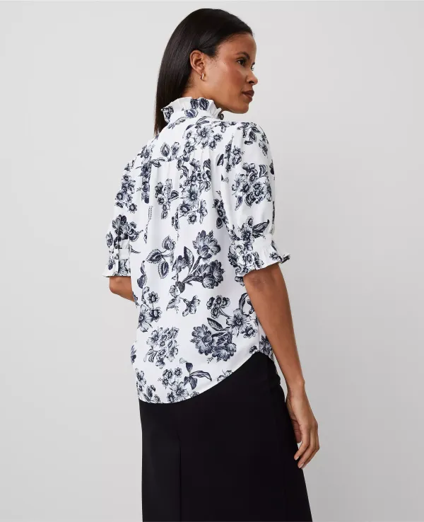 Toile Silky Ruffle Collar Blouse
