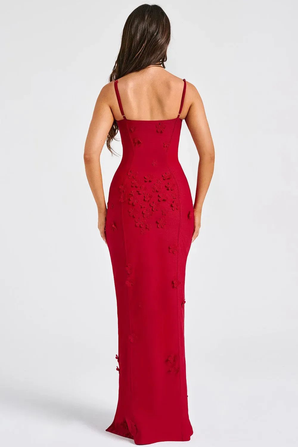 DALARY MAXI DRESS - RED LINED