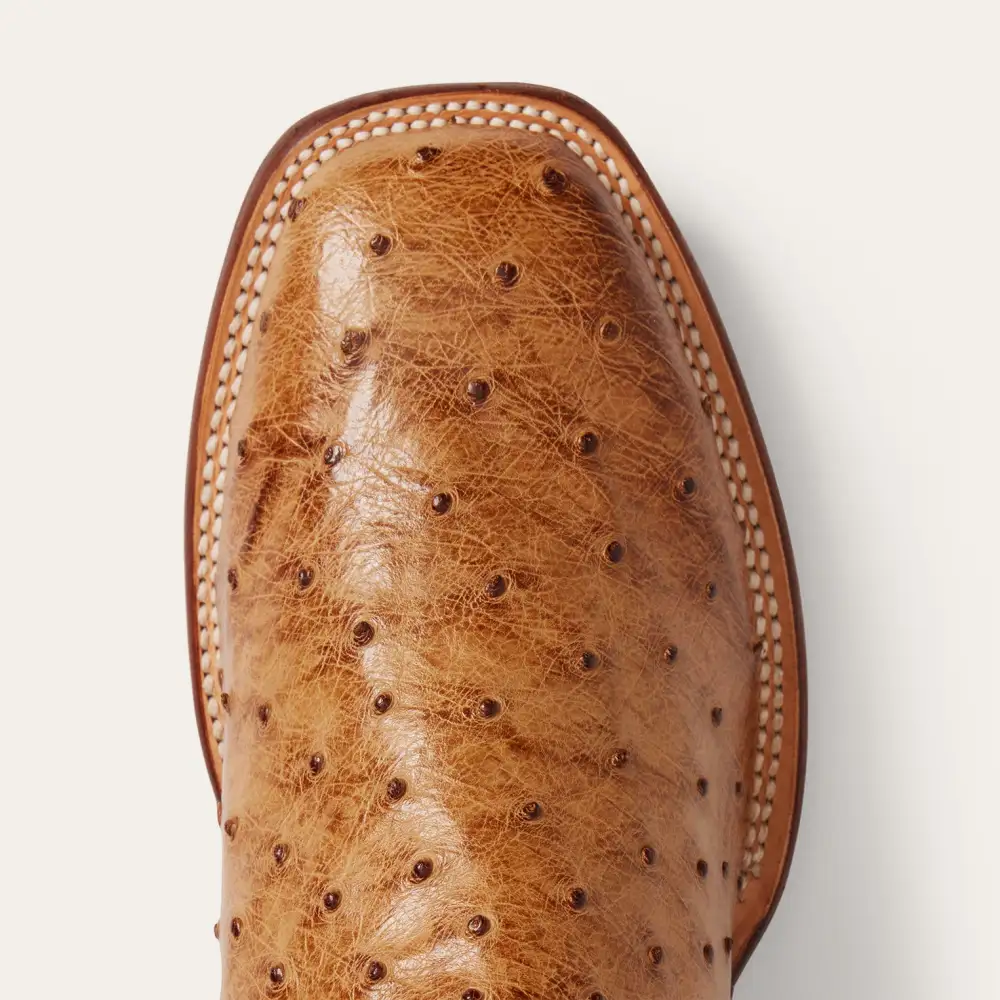 Ozzy Ostrich Boot