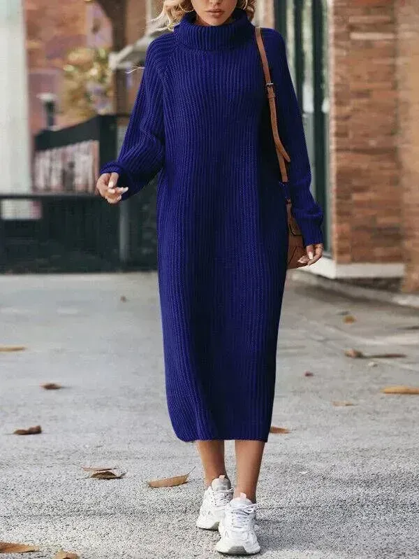 Turtleneck Raglan Sleeve Sweater Dress