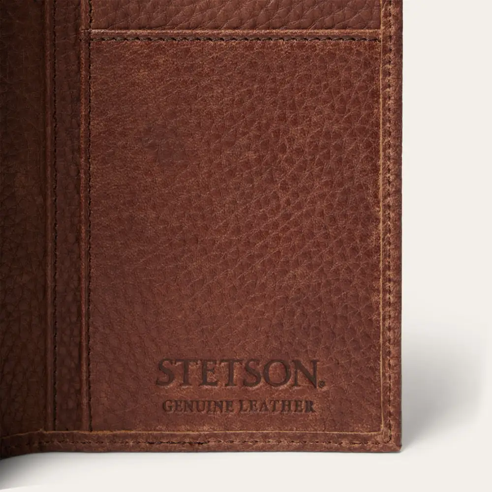 Steer Head Checkbook