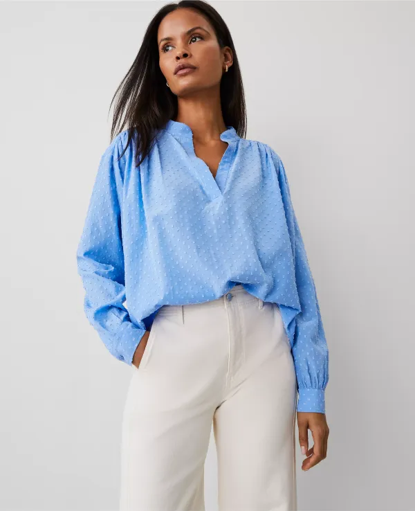 Clip V-Neck Blouson Popover