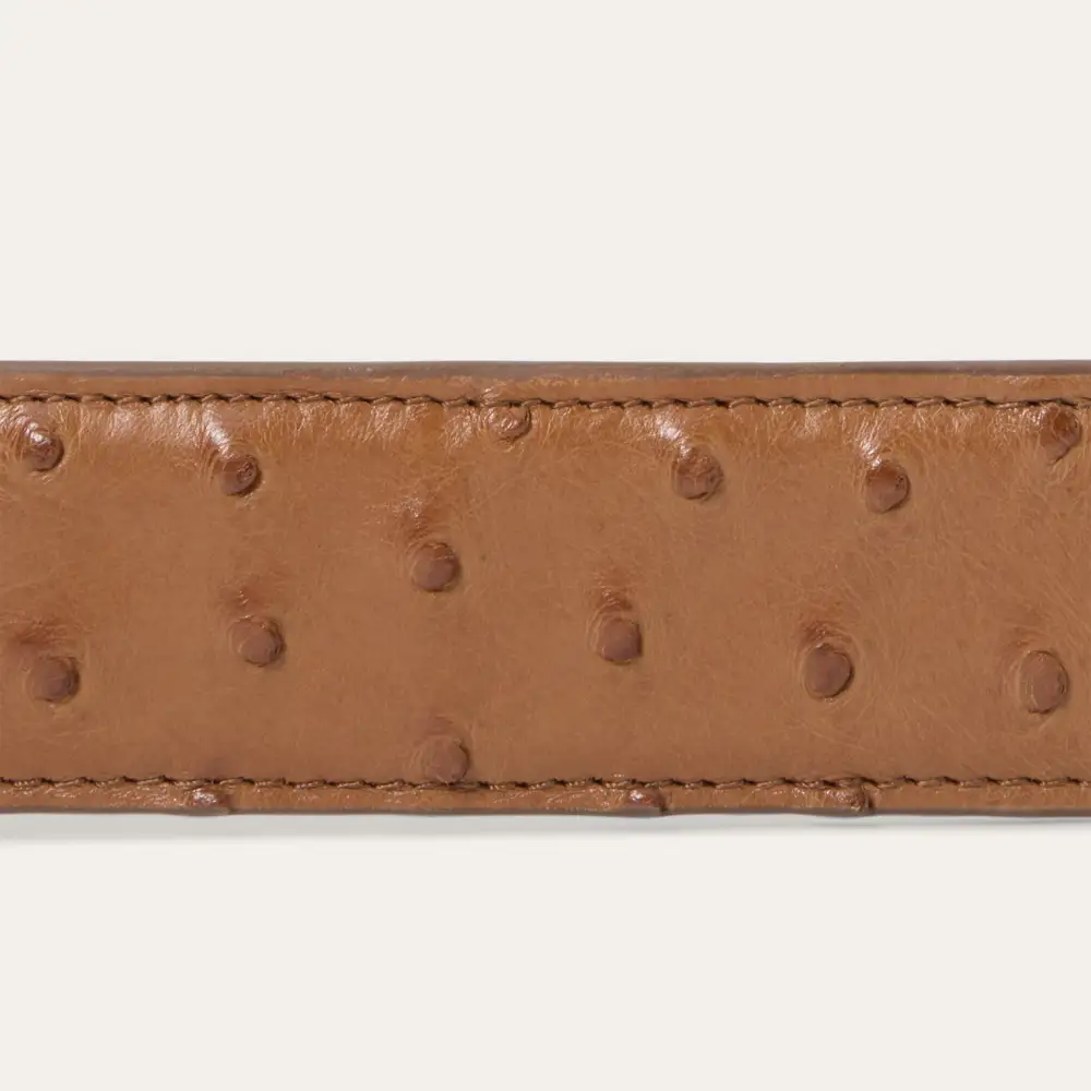 Ostrich Western Tab Belt