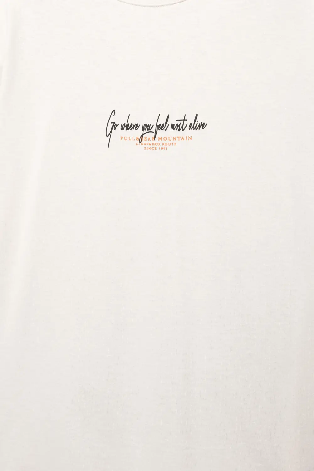 Short sleeve T-shirt with a landscape graphic