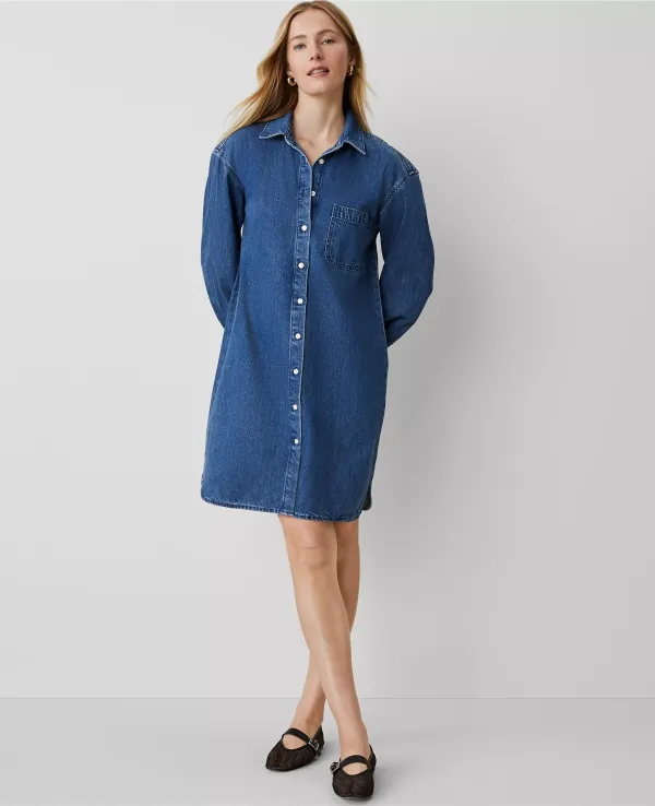 Denim Shirtdress