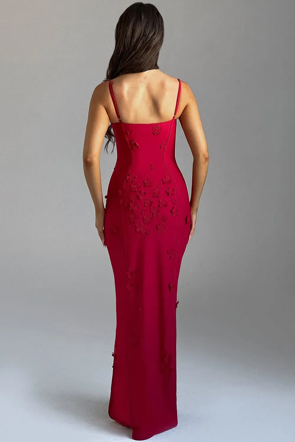 DALARY MAXI DRESS - RED LINED