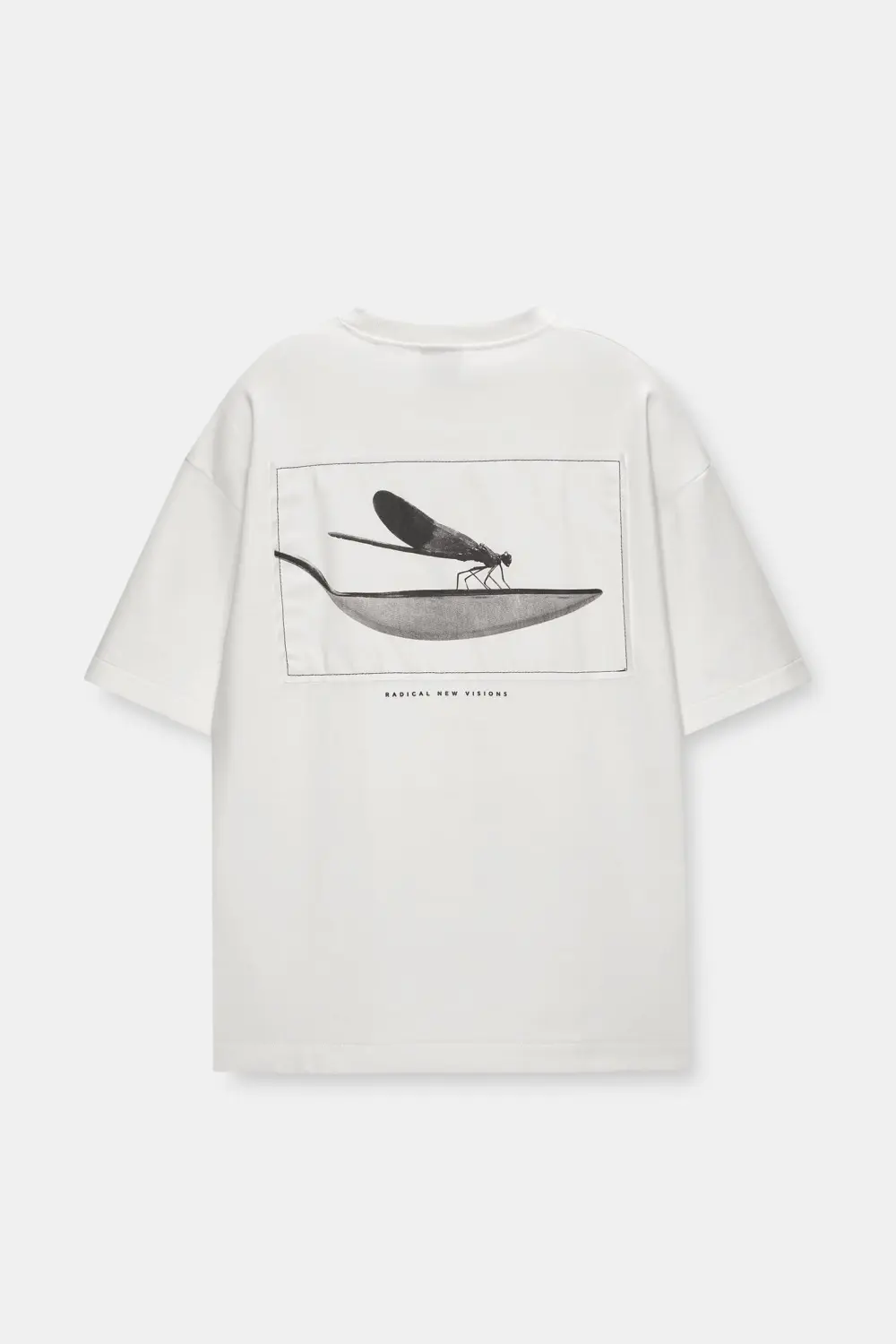 Short sleeve sweatshirt