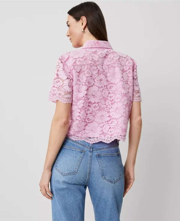 Lace Modern Blouse