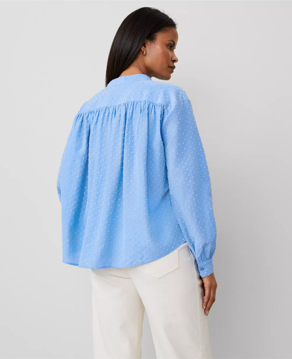 Clip V-Neck Blouson Popover