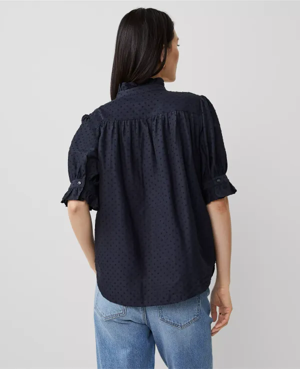 Clip Ruffle Collar Blouse