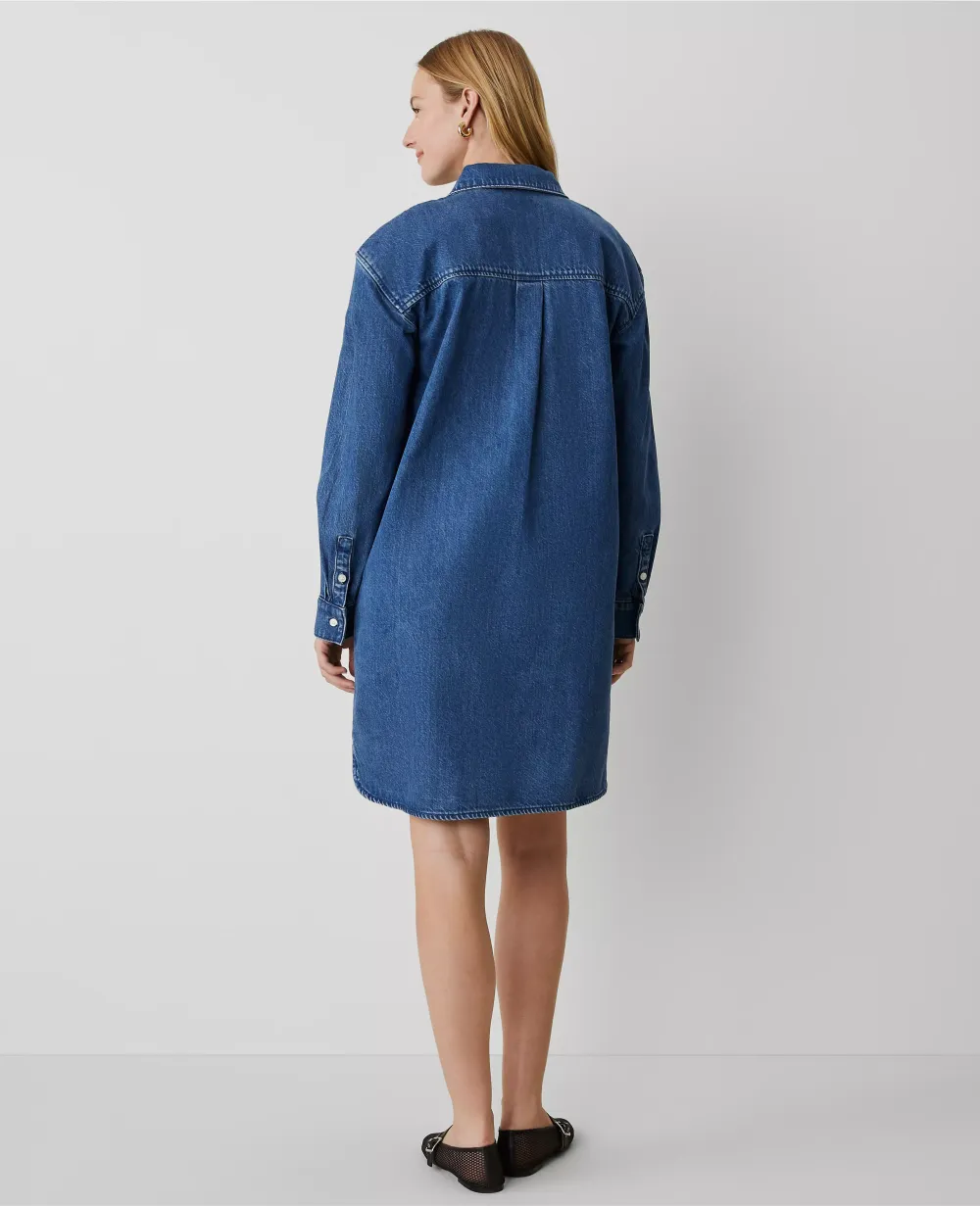 Denim Shirtdress