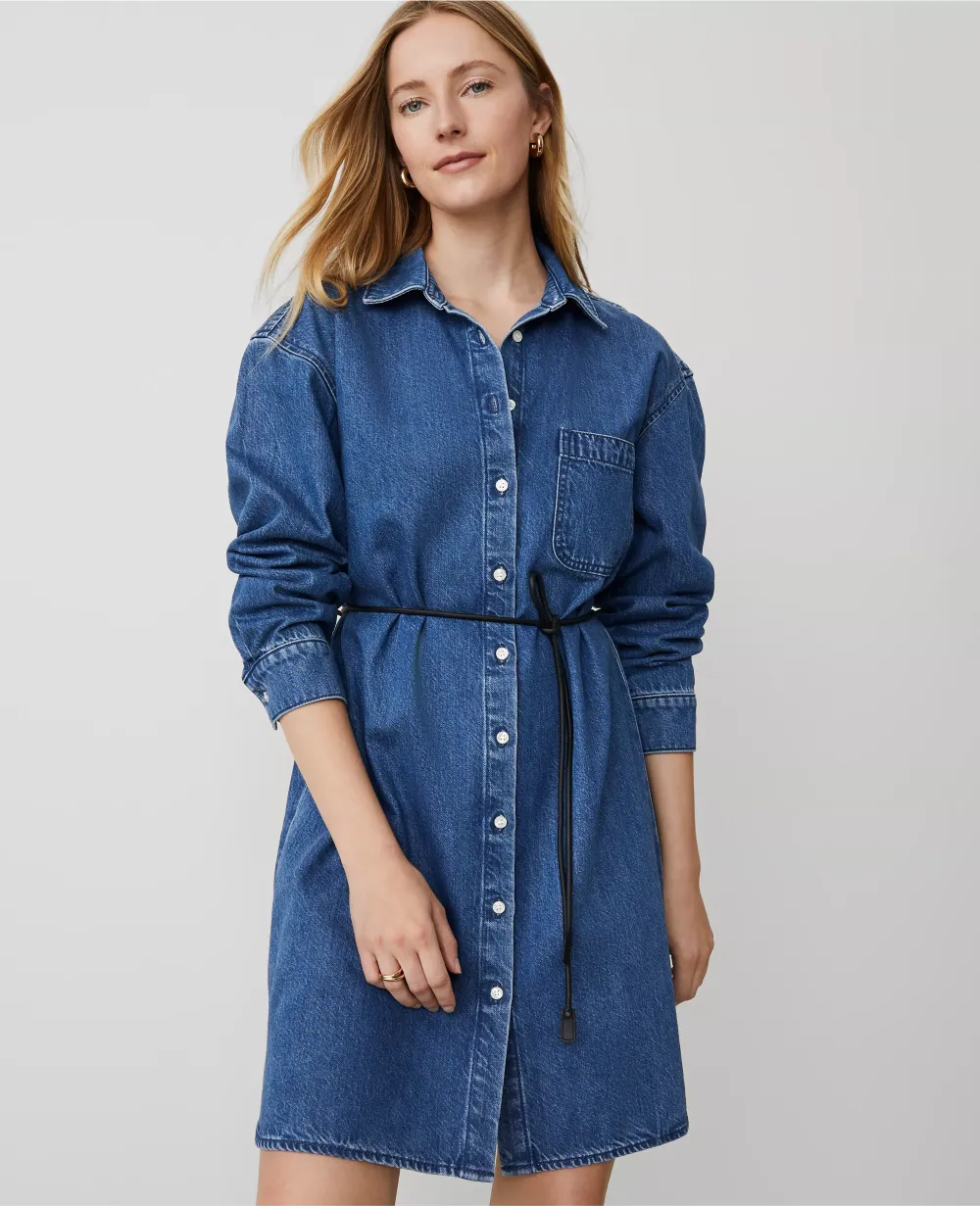 Denim Shirtdress