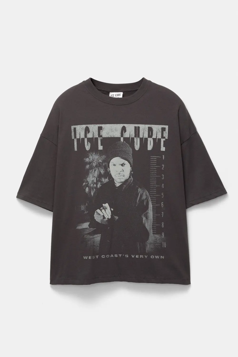 Ice Cube grey T-shirt