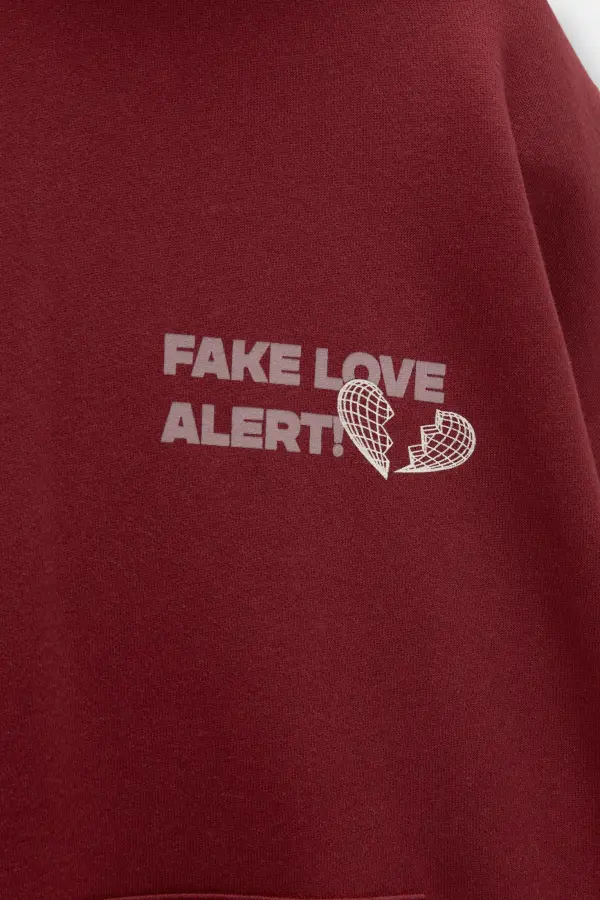 Sudadera capucha Love