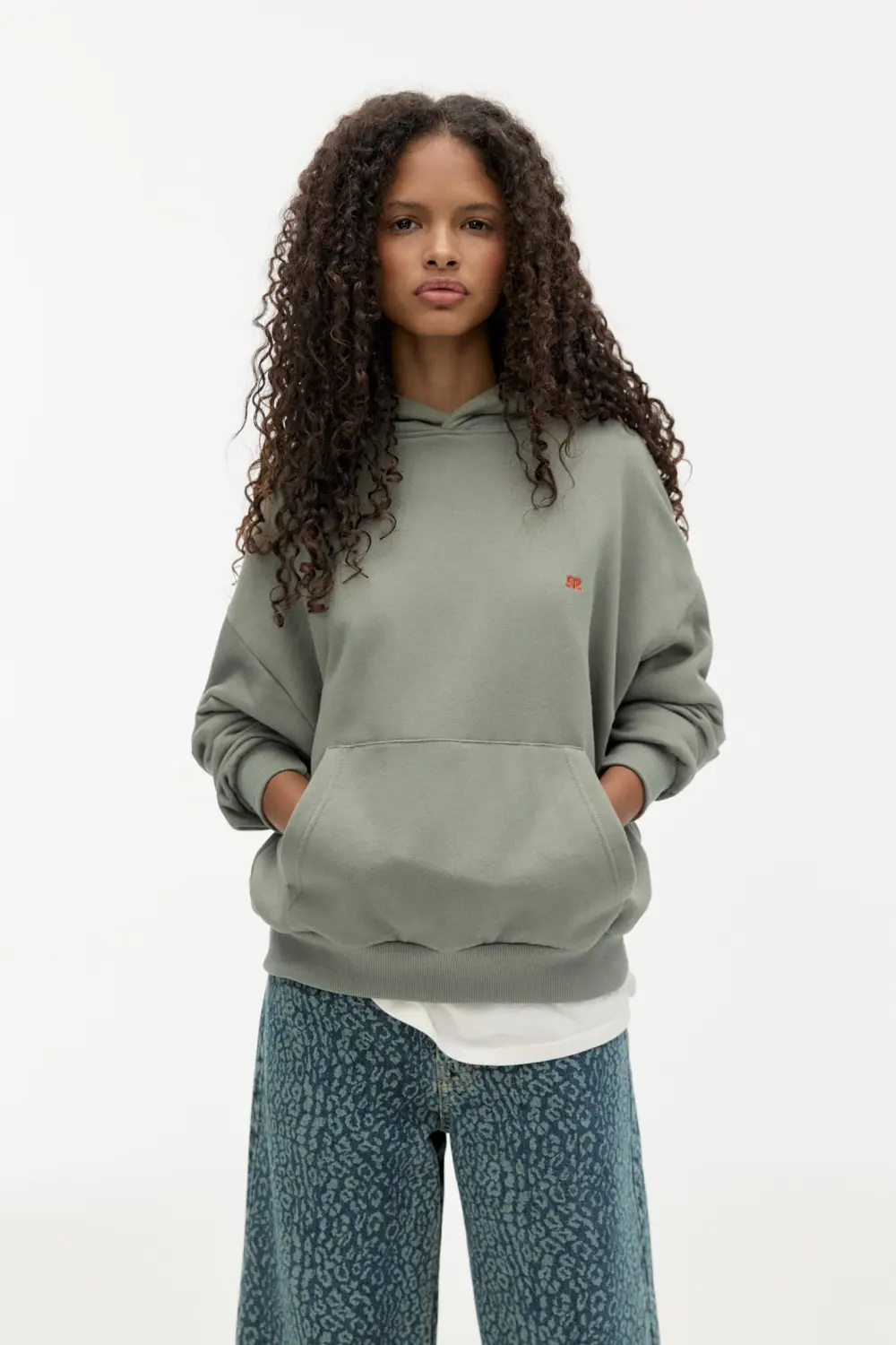 Sudadera capucha logo bordado