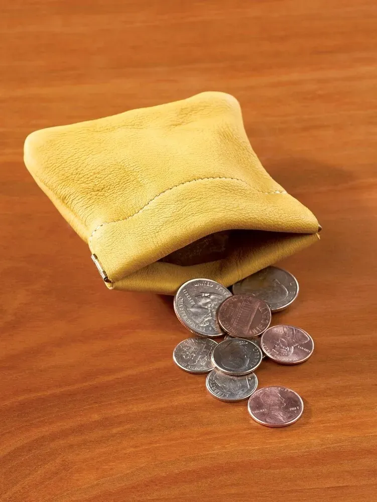 Leather Squeeze Coin Purse
