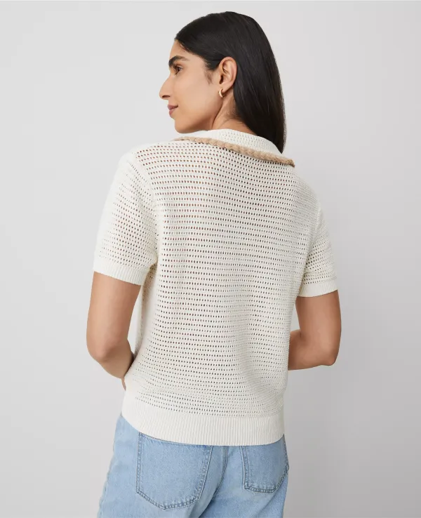 Contrast Trim Crochet-Collar Tee