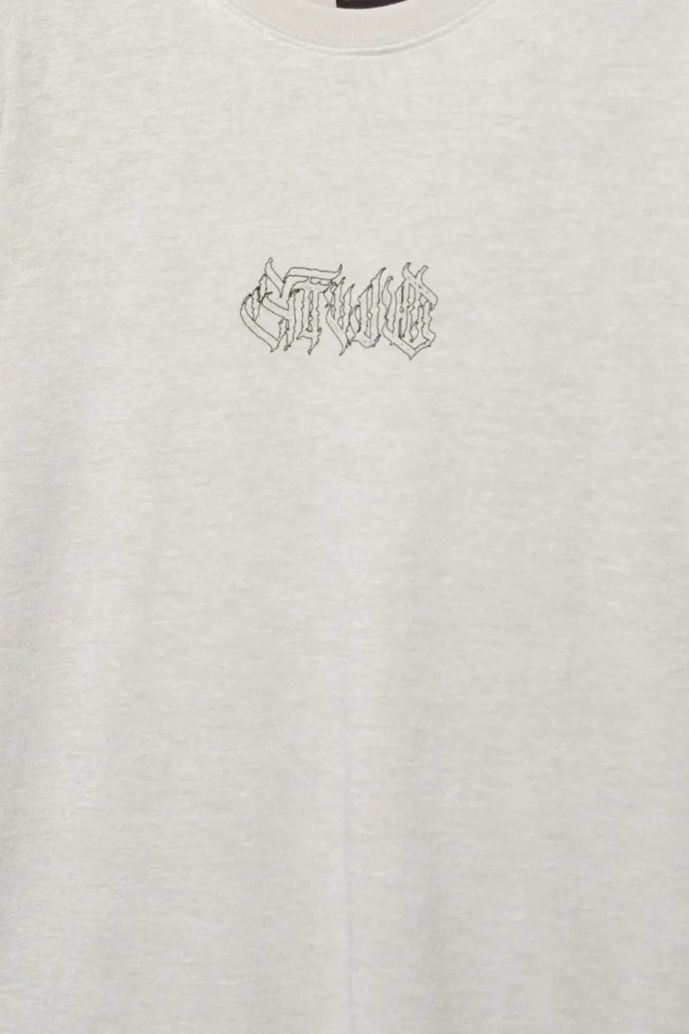 Slim fit cropped STWD T-shirt with gothic slogan
