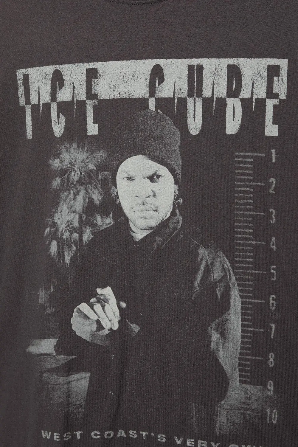 Ice Cube grey T-shirt