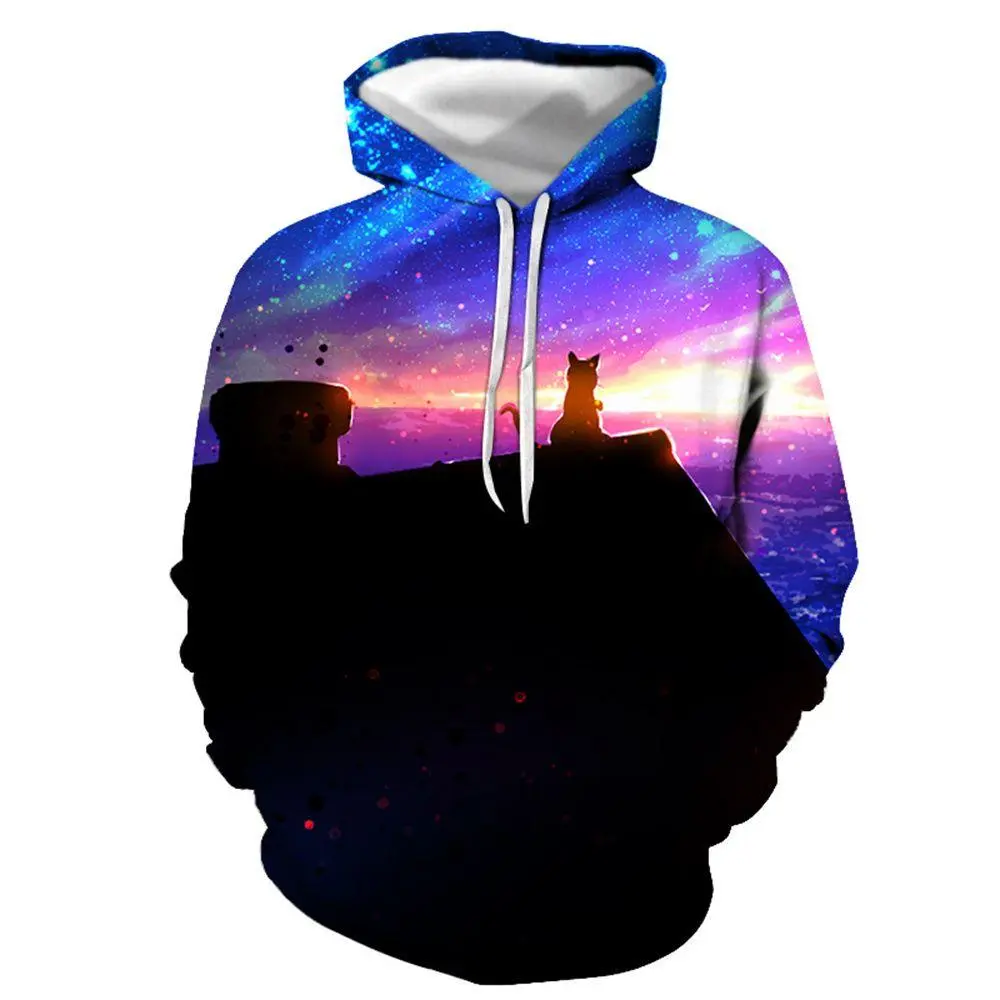 3D graphic printed hoodies lion