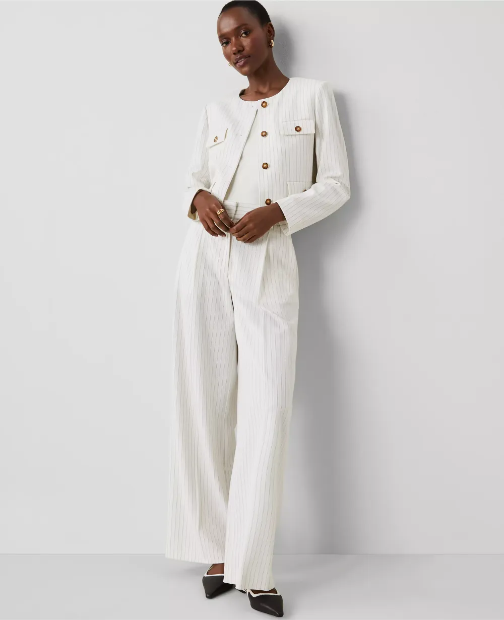The Pleated Wide-Leg Pant in Pinstripe
