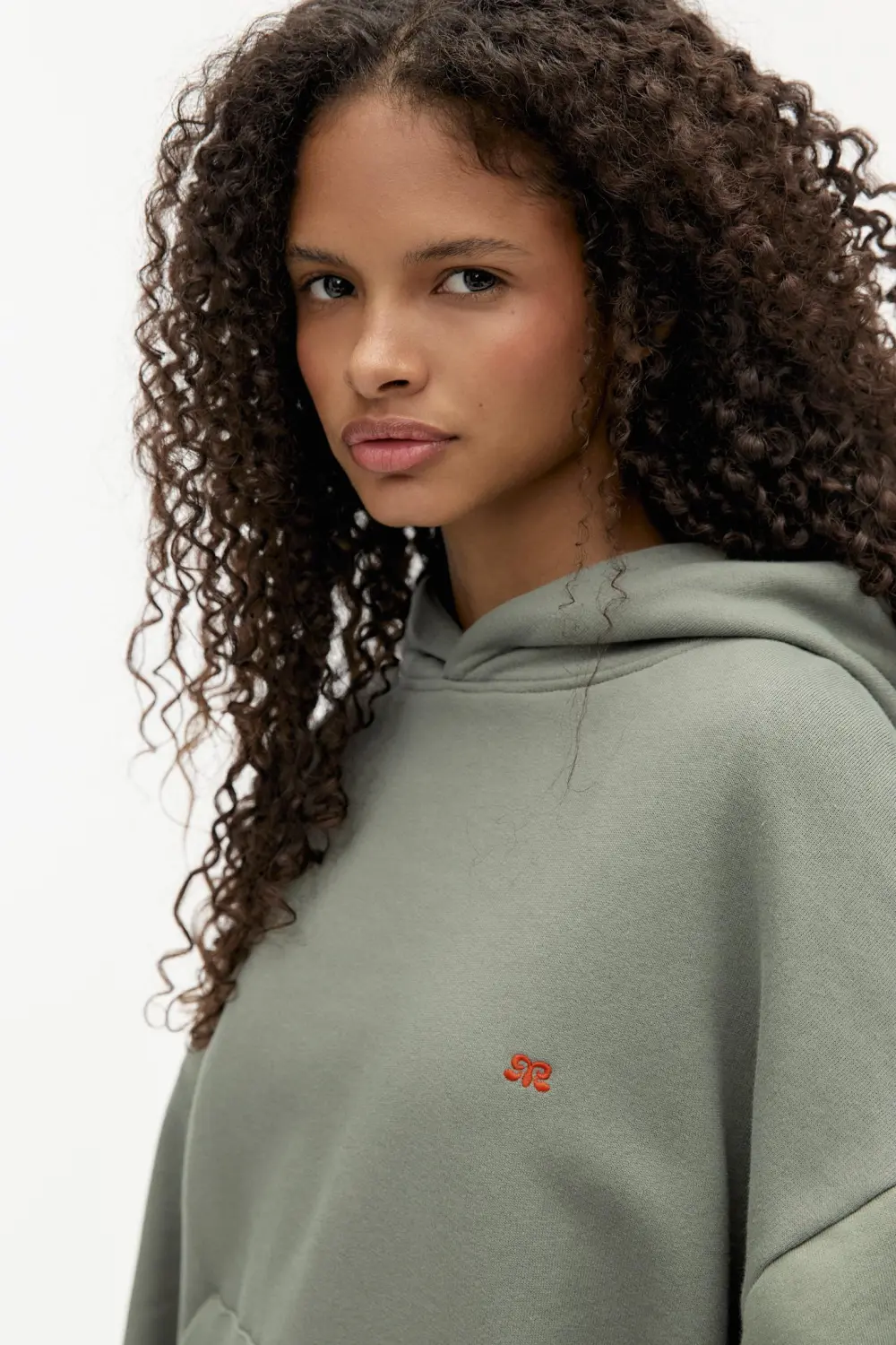 Sudadera capucha logo bordado