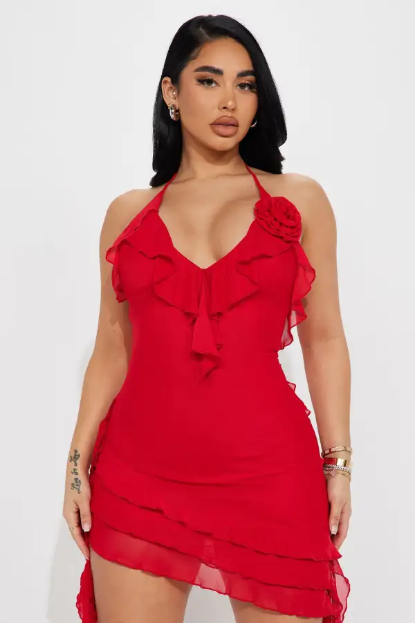 Paris Life Mesh Mini Dress - Red
