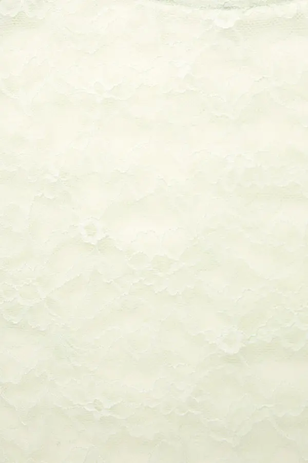 Short sleeve lace bodysuit