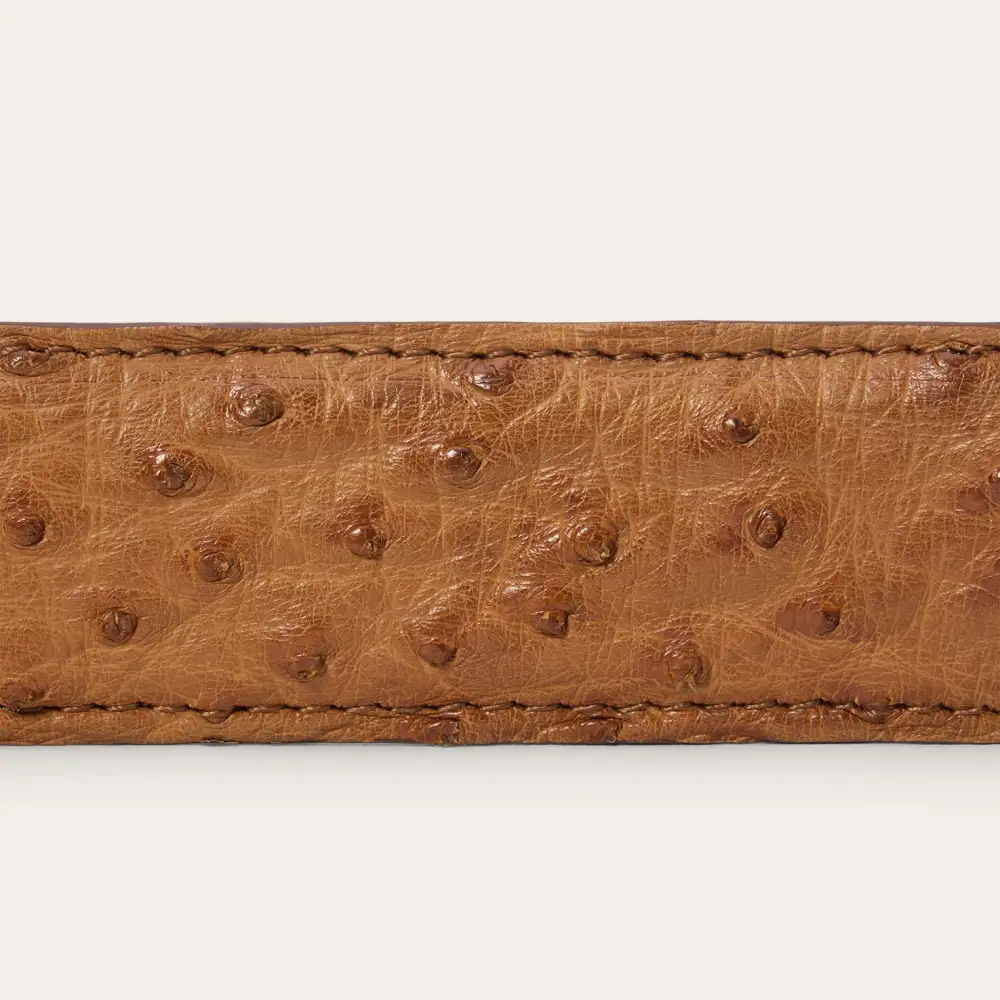Ostrich Western Tab Belt - 1 1/4