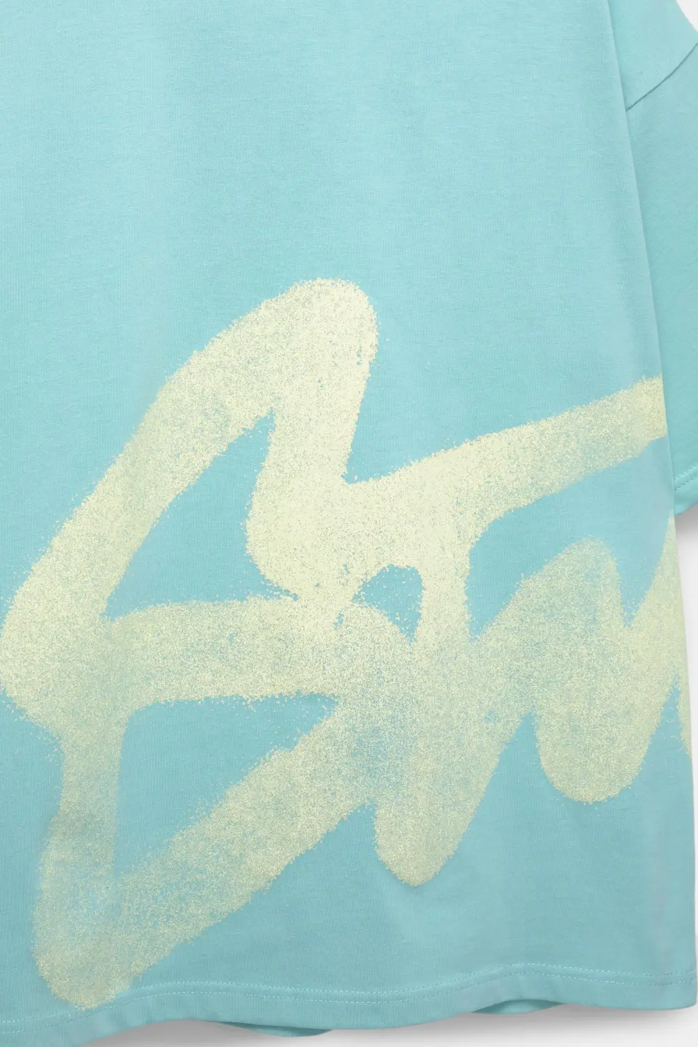 Short sleeve T-shirt with an STWD graphic