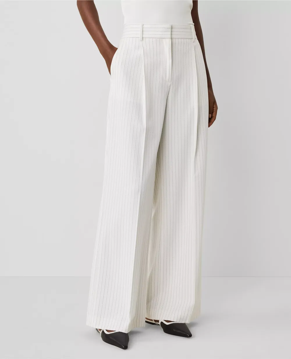 The Pleated Wide-Leg Pant in Pinstripe
