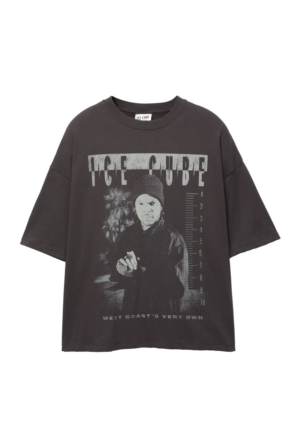 Ice Cube grey T-shirt