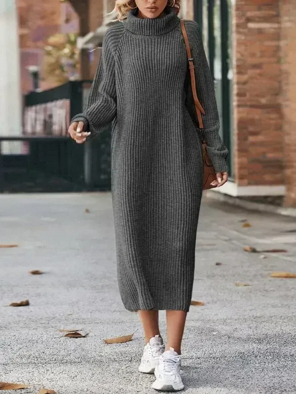 Turtleneck Raglan Sleeve Sweater Dress