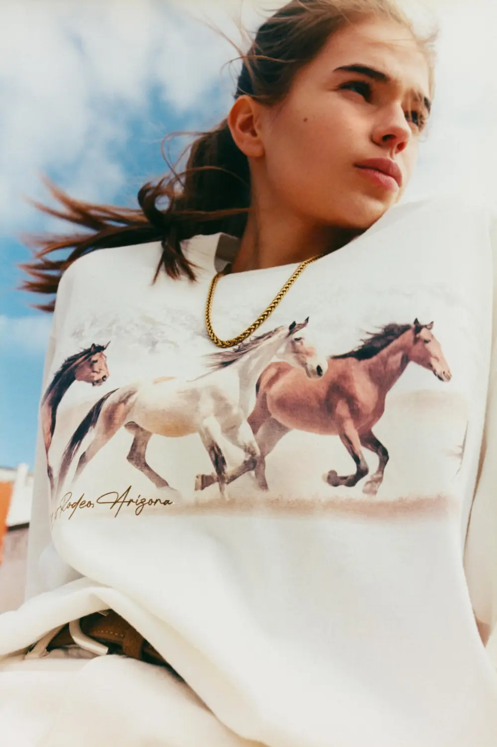 Camiseta caballos